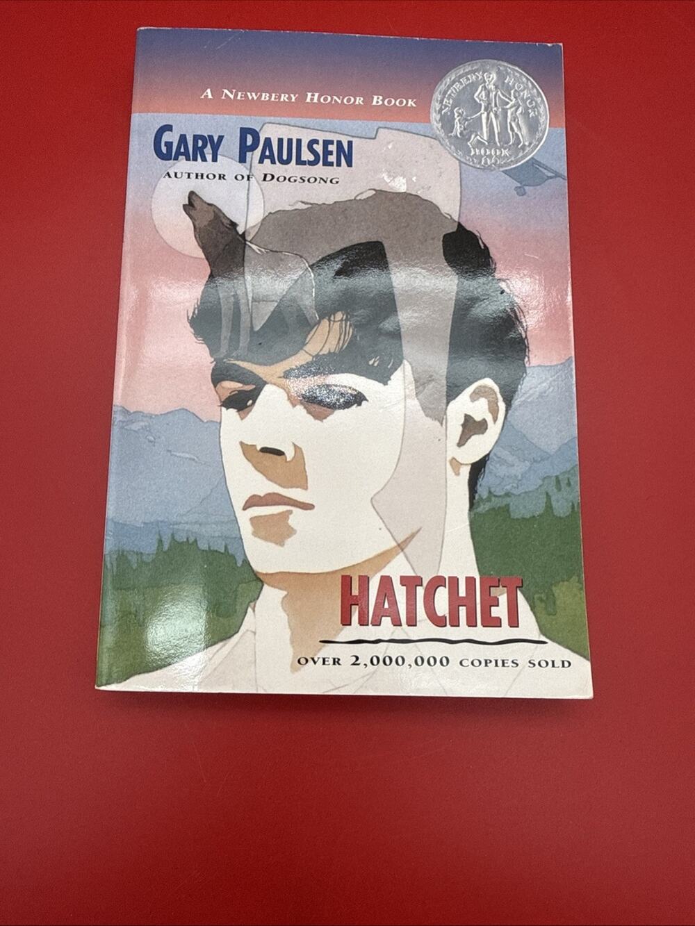 Hatchet by Gary Paulsen